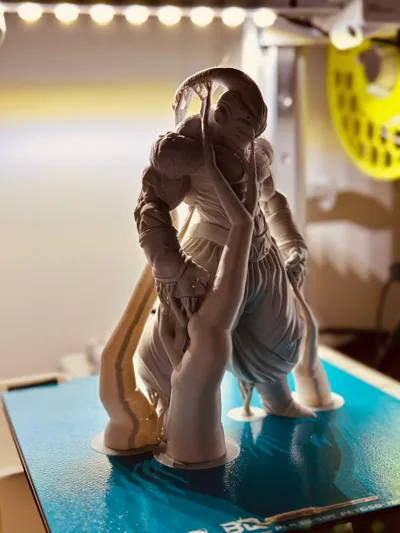 https://makerworld.bblmw.com/makerworld/model/2047203/2209151/ratings/e43b4f10-d289-11f0-8fb4-758a2cc8e525.jpg