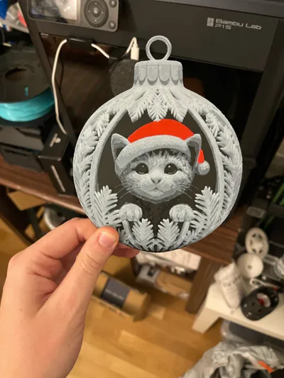 https://makerworld.bblmw.com/makerworld/model/2049948/2212321/ratings/cf06fbf0-d629-11f0-961d-d31e99b6f6c7.jpg