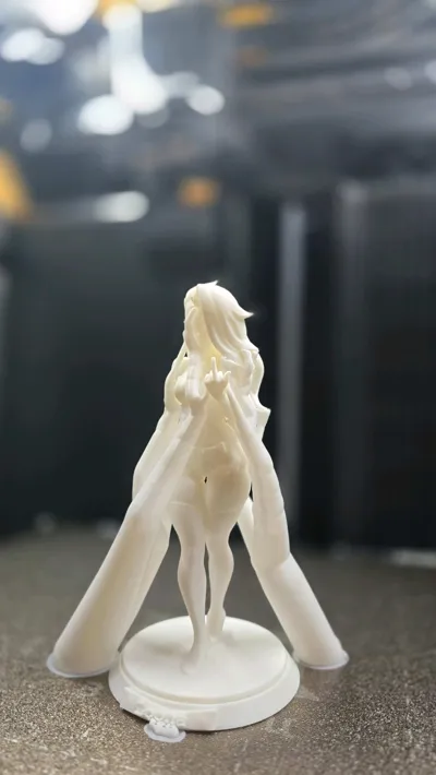 https://makerworld.bblmw.com/makerworld/model/2050037/2212427/ratings/7d1513b0-cd26-11f0-888d-e3075be62870.jpg