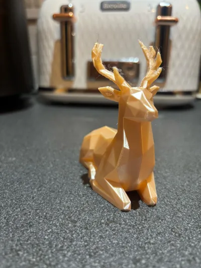 https://makerworld.bblmw.com/makerworld/model/2051762/2214509/ratings/d2a1a5c0-df67-11f0-b7ea-0b70d990e867.jpg
