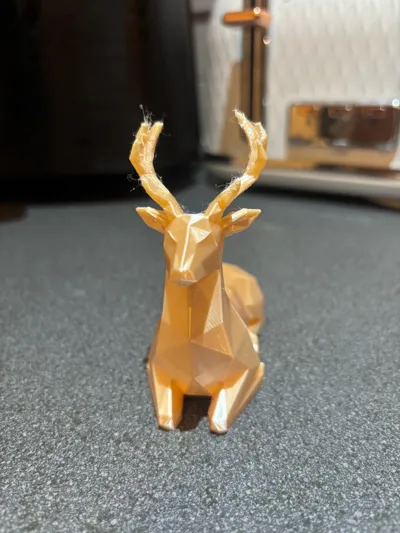 https://makerworld.bblmw.com/makerworld/model/2051762/2214509/ratings/d2a52830-df67-11f0-b7ea-0b70d990e867.jpg