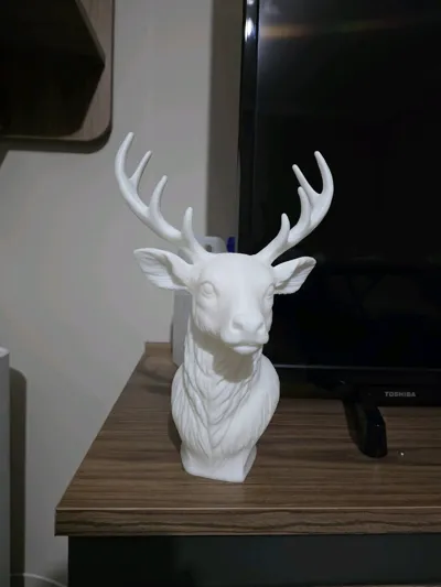 https://makerworld.bblmw.com/makerworld/model/2053105/2216054/ratings/4fa32a00-ed5d-11f0-af5f-ada245809e5c.jpg