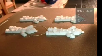 https://makerworld.bblmw.com/makerworld/model/2056098/2219506/ratings/44d51650-ce4b-11f0-ba04-19fc71b0396c.jpg
