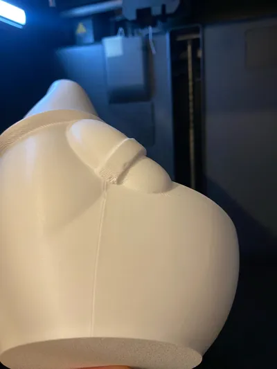 https://makerworld.bblmw.com/makerworld/model/2056847/2220377/ratings/04bd2850-e0c5-11f0-a148-5b3ab0c06e59.jpg