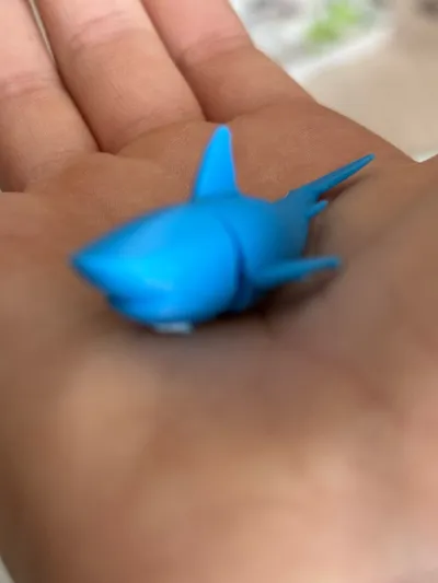 https://makerworld.bblmw.com/makerworld/model/2059600/2223652/ratings/df181f00-d779-11f0-add7-43b4afe0f7e9.jpg
