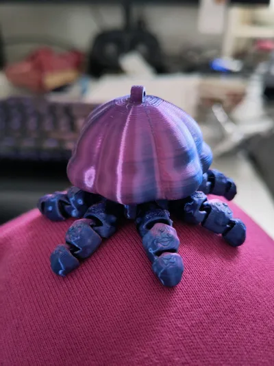 https://makerworld.bblmw.com/makerworld/model/2061586/2226031/ratings/8dba6290-ec95-11f0-a518-17841d8f5ceb.jpg
