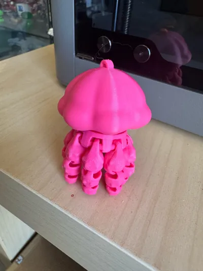 https://makerworld.bblmw.com/makerworld/model/2061586/2226031/ratings/e993a1b0-cf82-11f0-999e-7f7d8c743c3c.jpg