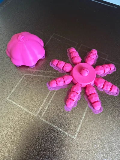https://makerworld.bblmw.com/makerworld/model/2061586/2226031/ratings/e9b7a470-cf82-11f0-999e-7f7d8c743c3c.jpg