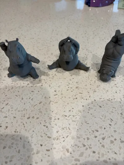 https://makerworld.bblmw.com/makerworld/model/2061764/2226235/ratings/8d688890-ee83-11f0-a9b2-c345d0a8b544.jpg