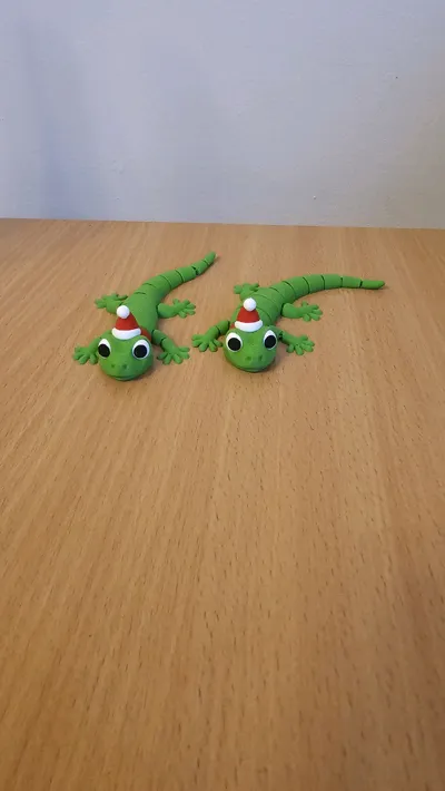 https://makerworld.bblmw.com/makerworld/model/2064185/2232114/ratings/59b1b840-de4e-11f0-be00-d9df6bd141b9.jpg