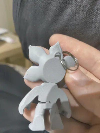 https://makerworld.bblmw.com/makerworld/model/2064192/2228959/ratings/f1eb7f10-e27c-11f0-8883-25c58adff3e1.jpg