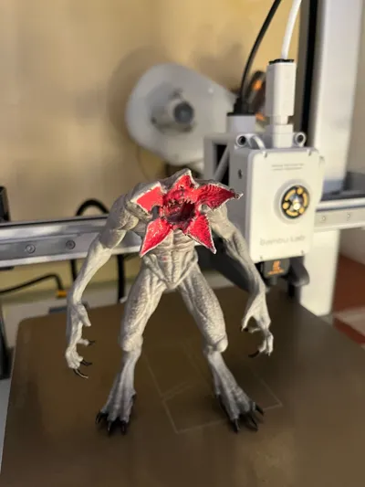 https://makerworld.bblmw.com/makerworld/model/2064294/2229075/ratings/6765e770-e710-11f0-9fcb-e9005a83977d.jpg