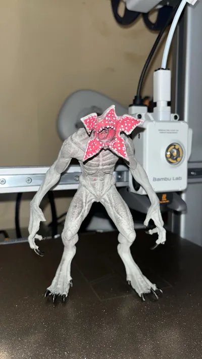 https://makerworld.bblmw.com/makerworld/model/2064294/2229075/ratings/676c2900-e710-11f0-9fcb-e9005a83977d.jpg