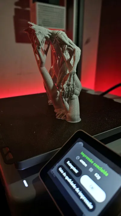https://makerworld.bblmw.com/makerworld/model/2064294/2229075/ratings/ca1a14d0-d7fd-11f0-819d-4706a7954c12.jpg