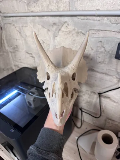 https://makerworld.bblmw.com/makerworld/model/2064749/2250238/ratings/2025-12-14_406f6f2755f148.jpg
