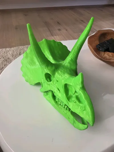 https://makerworld.bblmw.com/makerworld/model/2064749/2250238/ratings/ae1231e0-eed8-11f0-8cb5-6747aff323fb.jpg