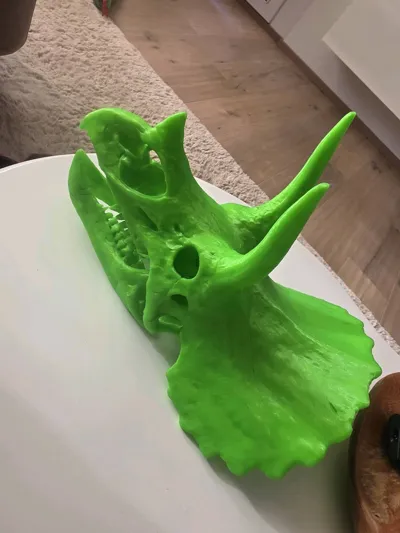 https://makerworld.bblmw.com/makerworld/model/2064749/2250238/ratings/ae13df90-eed8-11f0-8cb5-6747aff323fb.jpg