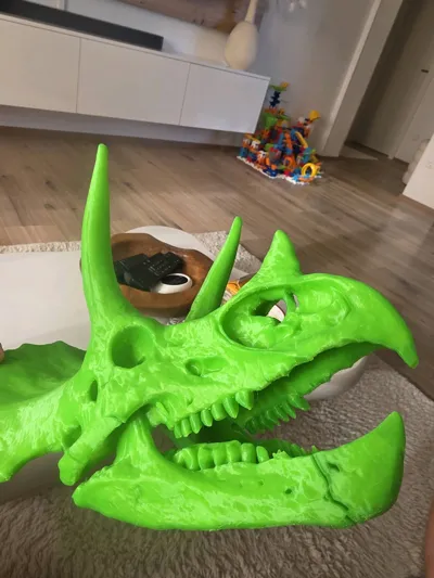 https://makerworld.bblmw.com/makerworld/model/2064749/2250238/ratings/ae1c4400-eed8-11f0-8cb5-6747aff323fb.jpg
