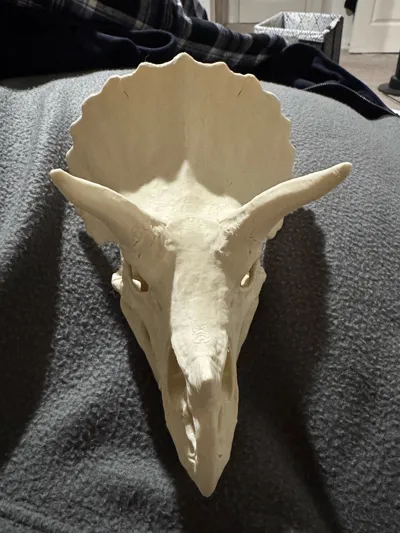 https://makerworld.bblmw.com/makerworld/model/2064749/2253760/ratings/0892c410-ebcb-11f0-8633-5baae63cb1cb.jpg