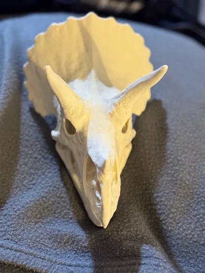 https://makerworld.bblmw.com/makerworld/model/2064749/2253760/ratings/08936050-ebcb-11f0-8633-5baae63cb1cb.jpg
