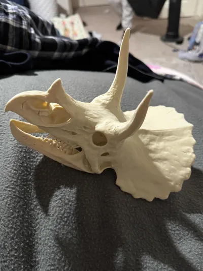 https://makerworld.bblmw.com/makerworld/model/2064749/2253760/ratings/089fe370-ebcb-11f0-8633-5baae63cb1cb.jpg