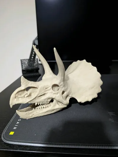 https://makerworld.bblmw.com/makerworld/model/2064749/2253760/ratings/3ce09f60-e727-11f0-b231-5321932bef62.jpg