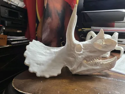 https://makerworld.bblmw.com/makerworld/model/2064749/2253760/ratings/6d98d0d0-d3dd-11f0-afb7-a31a37b92b01.jpg