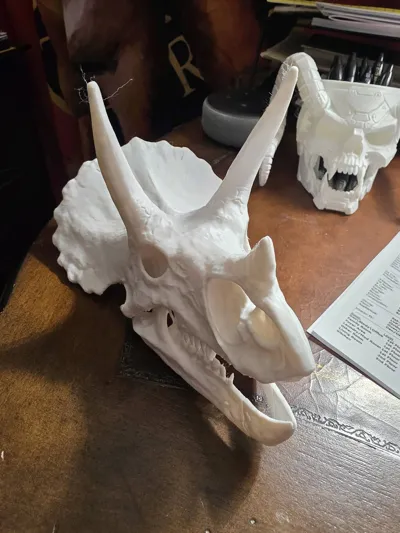 https://makerworld.bblmw.com/makerworld/model/2064749/2253760/ratings/6dadb860-d3dd-11f0-afb7-a31a37b92b01.jpg
