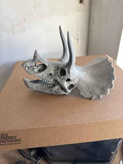 https://makerworld.bblmw.com/makerworld/model/2064749/2253760/ratings/a2a3ea60-e7df-11f0-a56b-3fece299573c.jpg