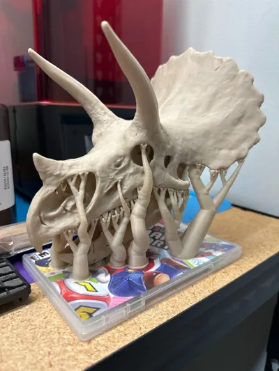 https://makerworld.bblmw.com/makerworld/model/2064749/2253760/ratings/c9201310-e4a3-11f0-bbf1-d1d9c76dfd73.jpg