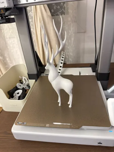 https://makerworld.bblmw.com/makerworld/model/2065149/2230192/ratings/02c76be0-f3d6-11f0-832d-dfa7f142c3cd.jpg