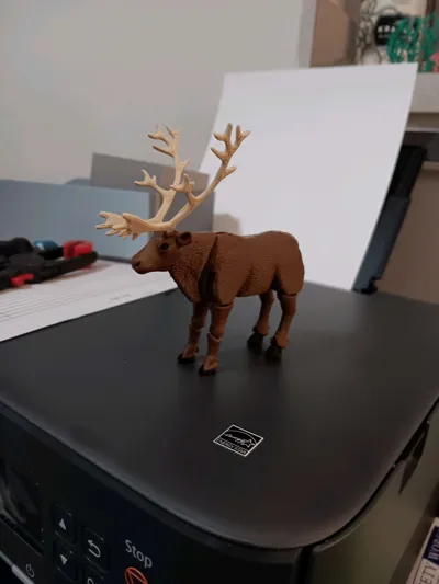 https://makerworld.bblmw.com/makerworld/model/2066153/2231273/ratings/dd9d2e70-d2fd-11f0-89c4-81641e9582d2.jpg