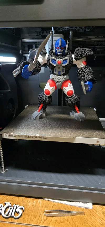 https://makerworld.bblmw.com/makerworld/model/2066552/2231706/ratings/87f20170-e6c7-11f0-b383-57e702e76c2a.jpg