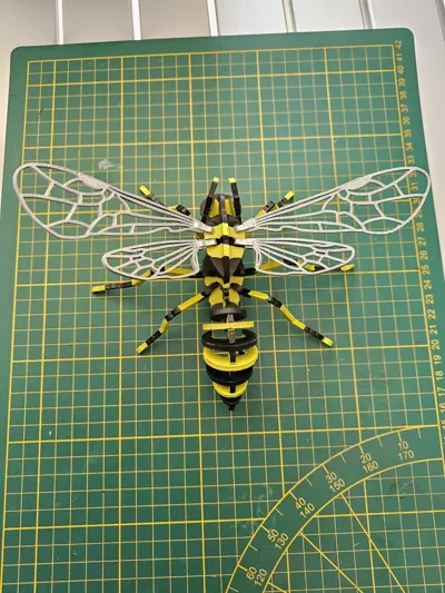 https://makerworld.bblmw.com/makerworld/model/206922/239777/ratings/52d01e70-0caa-11f0-85e3-5b6ed4c85d1e.jpg