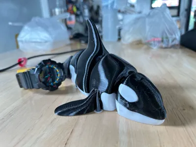 https://makerworld.bblmw.com/makerworld/model/206936/227041/ratings/048a6a70-9514-11f0-bac0-65a4f5e15c73.jpg