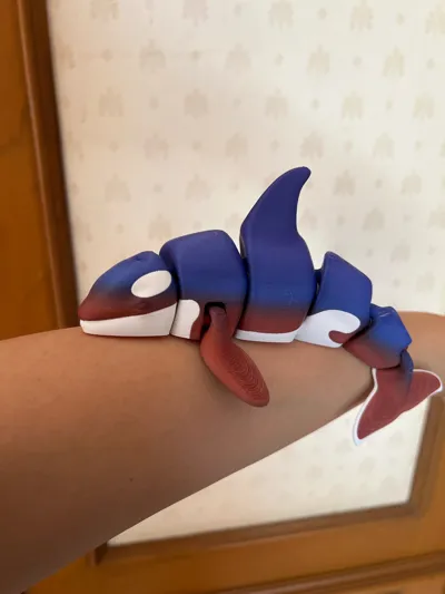 https://makerworld.bblmw.com/makerworld/model/206936/227041/ratings/20063db0-d272-11f0-b96d-9941ab13d0cc.jpg