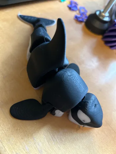 https://makerworld.bblmw.com/makerworld/model/206936/227041/ratings/245729b0-1332-11f0-a39d-734715ecbfe6.jpg