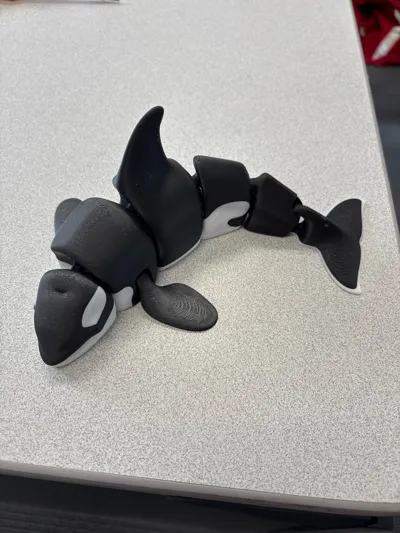 https://makerworld.bblmw.com/makerworld/model/206936/227041/ratings/38386020-8a79-11f0-9019-df8f9695e7d0.jpg