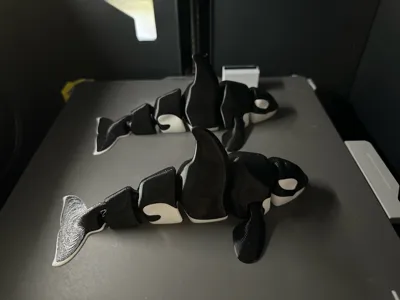 https://makerworld.bblmw.com/makerworld/model/206936/227041/ratings/5ef8c7d0-63dd-11f0-93fc-09b0ed5493ae.jpg