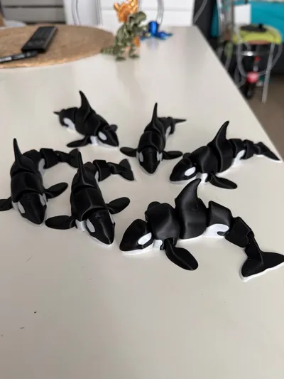 https://makerworld.bblmw.com/makerworld/model/206936/227081/ratings/70eb3c60-cdd8-11f0-896f-0fc4a7668ef8.jpg