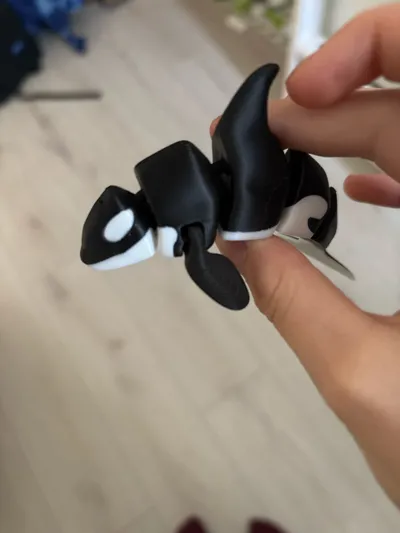 https://makerworld.bblmw.com/makerworld/model/206936/481669/ratings/e4834ef0-fa25-11f0-b652-839a2f05f733.jpg