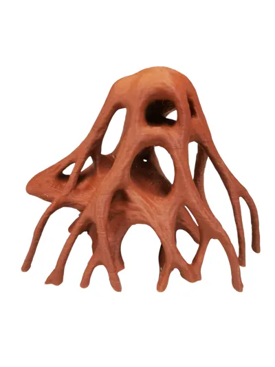 https://makerworld.bblmw.com/makerworld/model/2072647/2238747/ratings/d9b8de90-e4f4-11f0-a284-4b0ff188f904.png