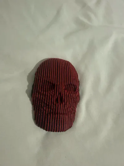 https://makerworld.bblmw.com/makerworld/model/2072865/2239005/ratings/f1352190-f66b-11f0-9350-699961c11bf6.jpg
