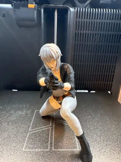 https://makerworld.bblmw.com/makerworld/model/2077471/2244498/ratings/67cb5380-e661-11f0-b8a9-55ee82528ac8.jpg