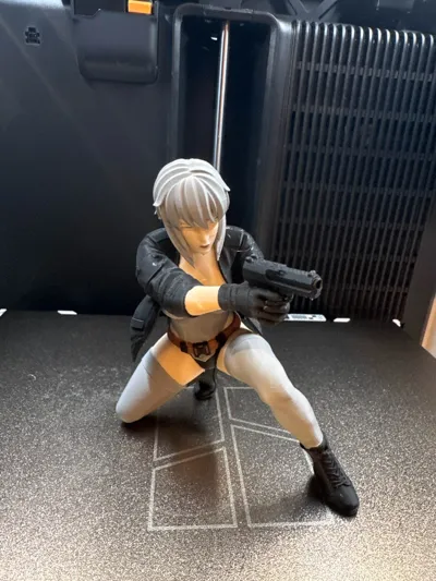 https://makerworld.bblmw.com/makerworld/model/2077471/2244498/ratings/67dba730-e661-11f0-b8a9-55ee82528ac8.jpg