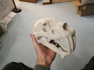 https://makerworld.bblmw.com/makerworld/model/2079299/2261920/ratings/922491d0-f2e8-11f0-a5ec-476bb494d3c2.jpg