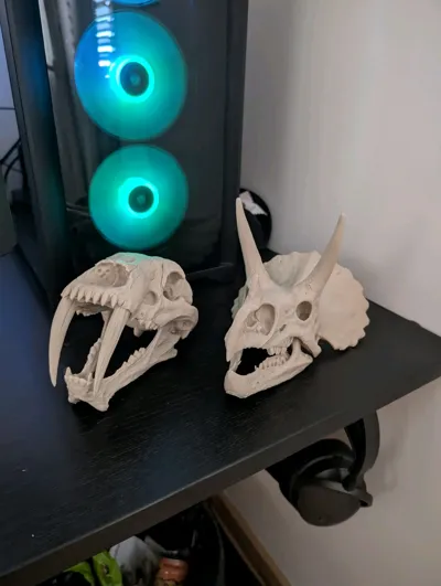 https://makerworld.bblmw.com/makerworld/model/2079299/2261930/ratings/0cdb32f0-eaa9-11f0-b205-0f066a3cc9f9.jpg