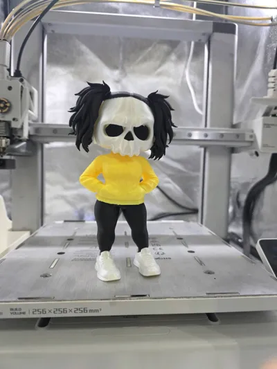 https://makerworld.bblmw.com/makerworld/model/2079346/2246640/ratings/fd661bd0-d65f-11f0-a8dc-490d82fcdfe0.jpg