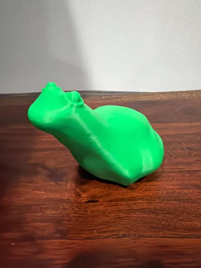 https://makerworld.bblmw.com/makerworld/model/2082909/2250983/ratings/7e0695e0-e07d-11f0-9f96-f7971defc9bd.jpg