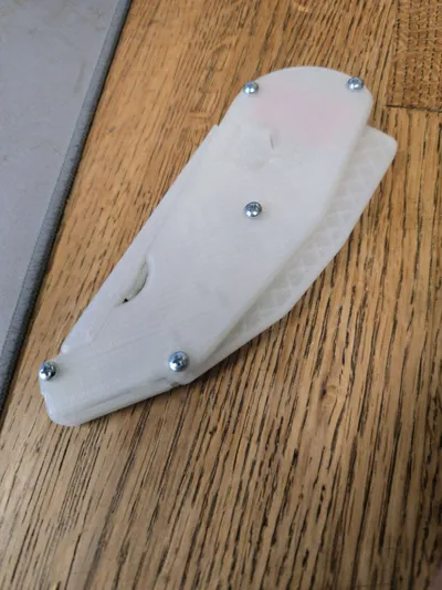 https://makerworld.bblmw.com/makerworld/model/2083999/2252255/ratings/0d056c30-dfb1-11f0-8cab-cbfa94831d9b.jpg